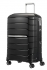 ern (black)