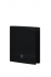 ern (black)