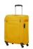 lut (yellow)