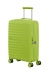 zelen (green)