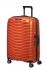 oranov (orange)