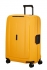 lut (yellow)