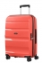 korlov (coral)