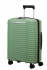 zelen (green)