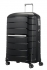 ern (black)