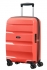 korlov (coral)