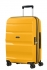 lut (yellow)