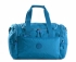 tyrkysov (turquoise)